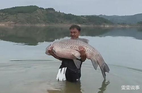 青鱼视频国产3 第2张 青鱼视频国产3 第2张