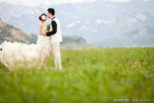 青青青草国产免费观看 第3张 青青青草国产免费观看 第3张