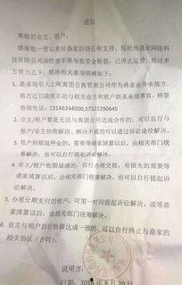 国产第一浮页,创新科技引领未来视觉体验 第3张 国产第一浮页,创新科技引领未来视觉体验 第3张
