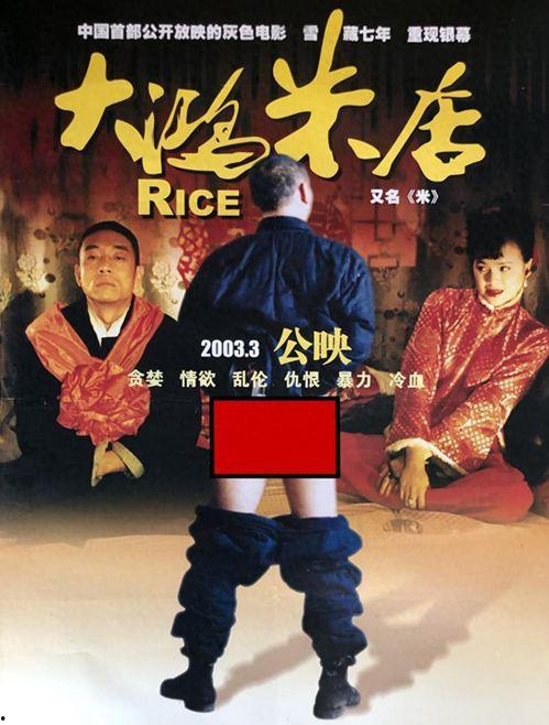 国产19禁,揭秘禁忌之下的激情与挑战 第3张 国产19禁,揭秘禁忌之下的激情与挑战 第3张